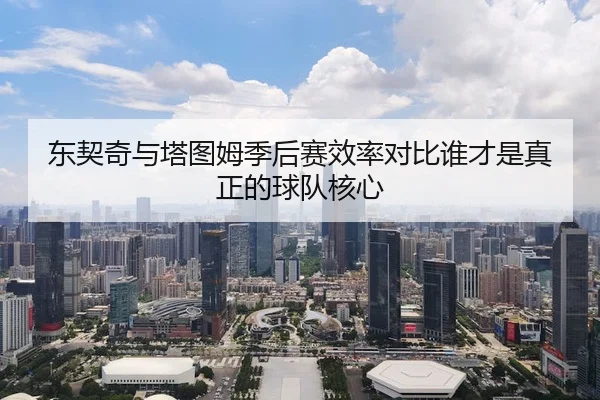 东契奇与塔图姆季后赛效率对比谁才是真正的球队核心