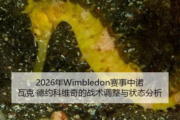 2026年Wimbledon赛事中诺瓦克·德约科维奇的战术调整与状态分析
