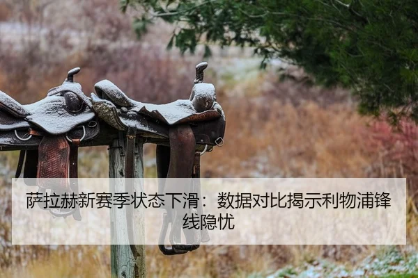 萨拉赫新赛季状态下滑：数据对比揭示利物浦锋线隐忧