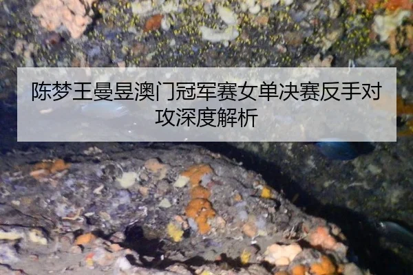 chen-meng-wang-man-yu-ao-men-guan-jun-sai-nv-dan-jue-sai-fan-shou-dui-gong-shen-du-jie-xi-2-162.jpg