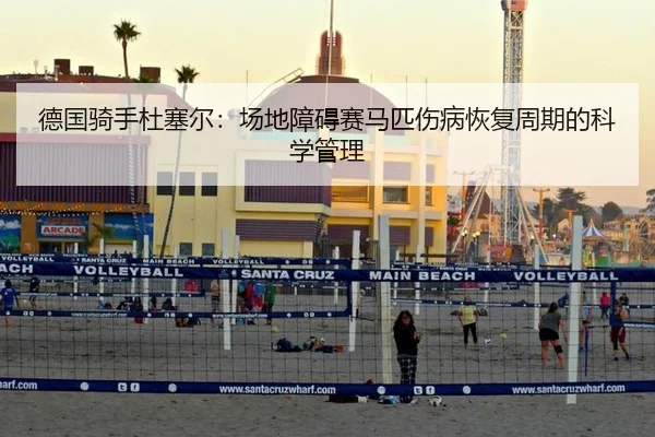 德国骑手杜塞尔：场地障碍赛马匹伤病恢复周期的科学管理