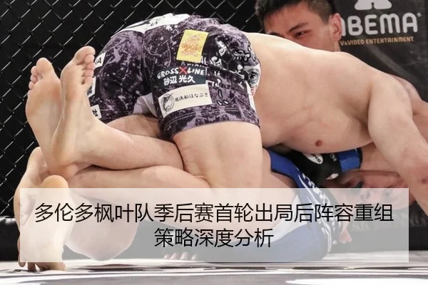 多伦多枫叶队季后赛首轮出局后阵容重组策略深度分析