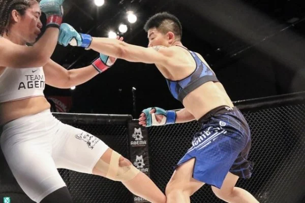 王者荣耀KPL秋季赛武汉eStar争冠前景与花海状态从常规赛到季后赛关键对局观察